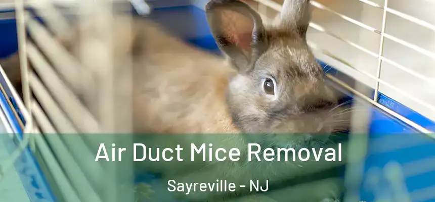 Air Duct Mice Removal Sayreville - NJ