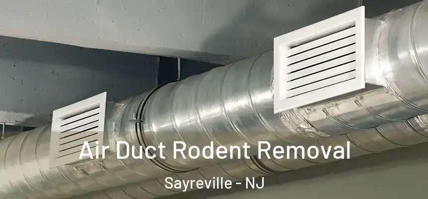  Air Duct Rodent Removal Sayreville - NJ