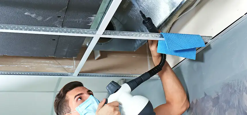 Our Air Duct Rodent Removal Services in Sayreville, NJ