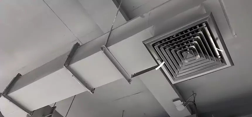 Our Pest Removal From Ducts Services in Sayreville, NJ