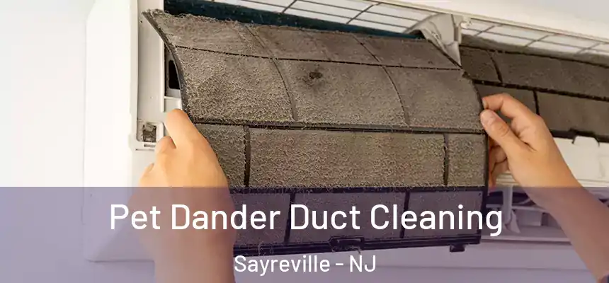  Pet Dander Duct Cleaning Sayreville - NJ