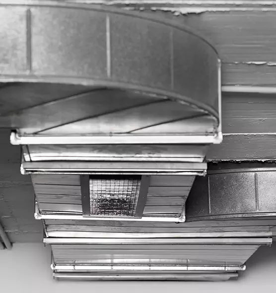 Professional Air Duct Pest Removal in Sayreville, NJ