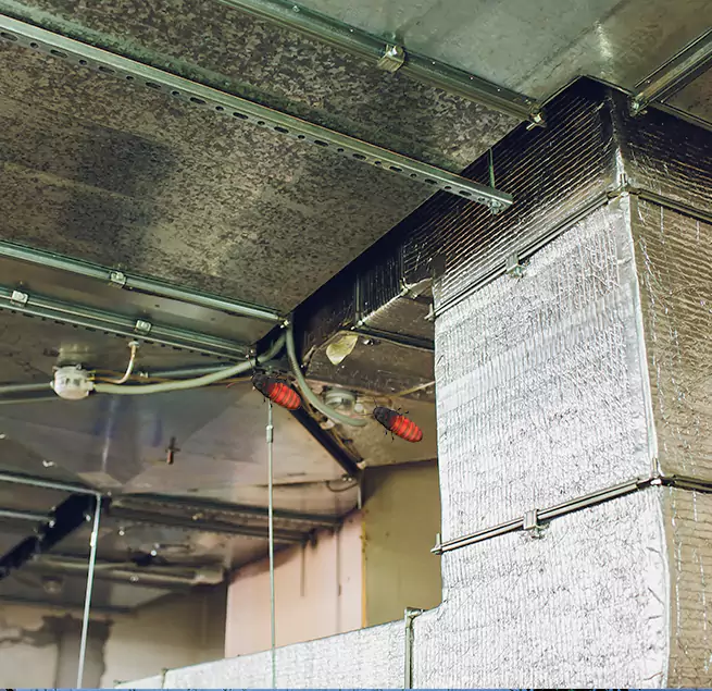 Why Homeowners & Businesses Trust Us Sayreville, NJ?